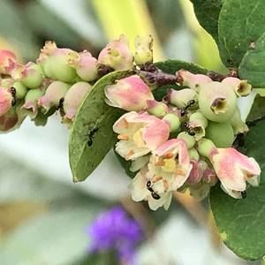 Meet your Posher, Lynn